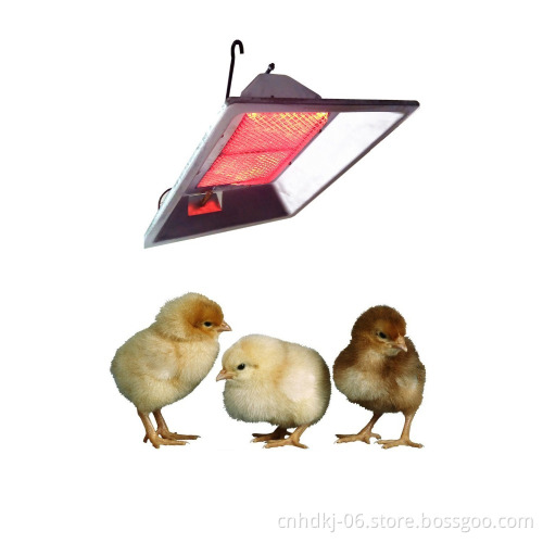 Hanging gas catalytic infrared chicken coop radiant heater